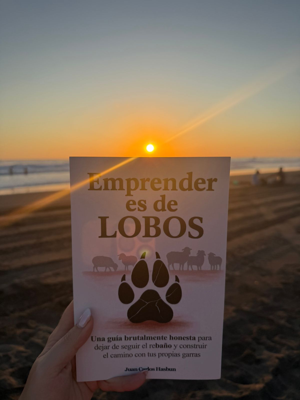 Charm Bracelet with a little rose