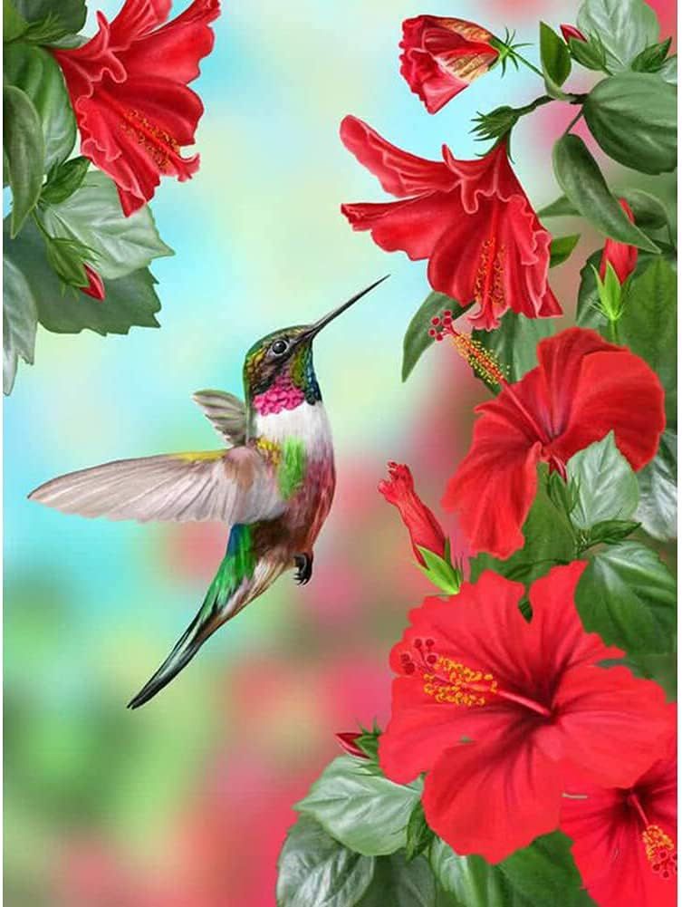 Diamond Painting 30x40cm VER VARIEDAD