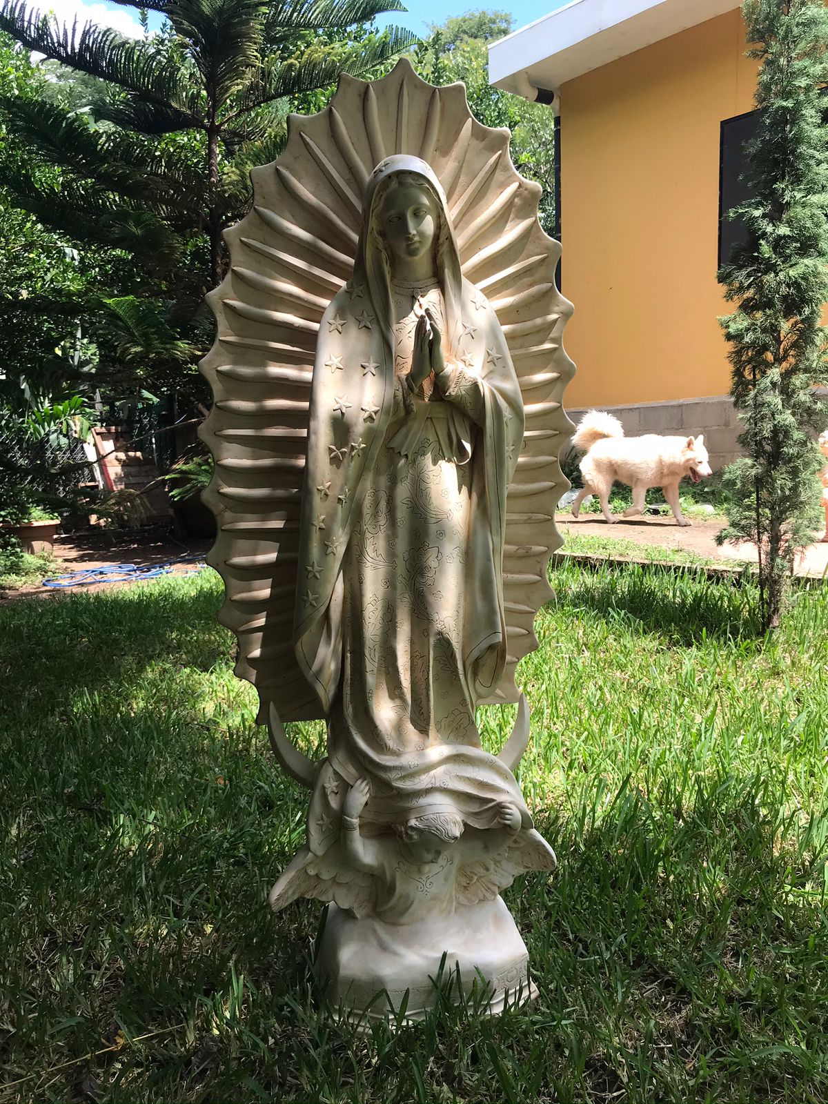 Santangelo- Virgen de Guadalupe